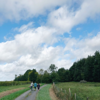 MÉDIATION ANIMALE POUR ETAP AU REFUGE DES ÂMES ÉQUINES