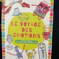 ZOOM SUR LE FILM D&rsquo;ANIMATION « LE VOYAGE DES ÉMOTIONS » DES JEUNES DU SAF