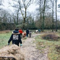 MÉDIATION ANIMALE ET SENSIBILISATION À L&rsquo;ENVIRONNEMENT AU DITEP DE GASCOGNE
