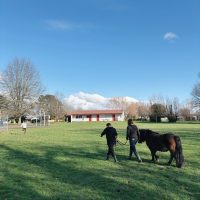 ZOOM SUR L&rsquo;ATELIER MÉDIATION ANIMALE DU DITEP ENTRE-DEUX-MERS